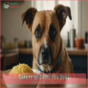 Safety of Grits for Dogs