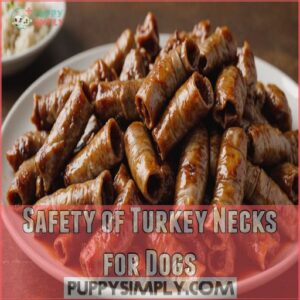 Safety of Turkey Necks for Dogs