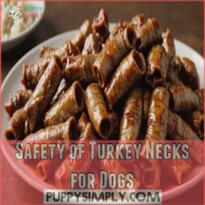 Safety of Turkey Necks for Dogs