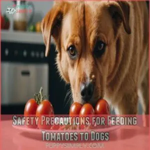 Safety Precautions for Feeding Tomatoes to Dogs