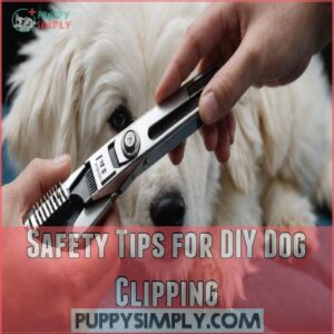 Safety Tips for DIY Dog Clipping