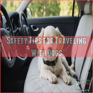 Safety Tips for Traveling With Dogs