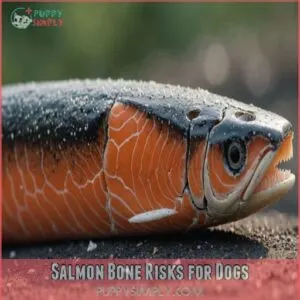 Salmon Bone Risks for Dogs