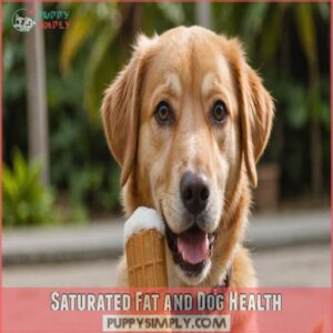 Saturated Fat and Dog Health