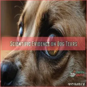 Scientific Evidence on Dog Tears