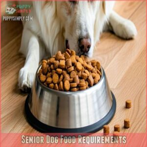 Senior Dog Food Requirements