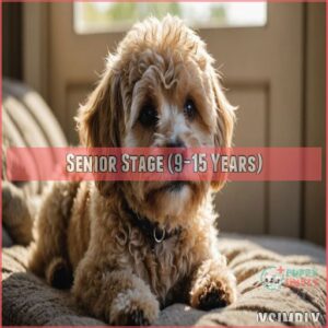 Senior Stage (9-15 Years)