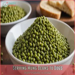 Serving Mung Beans to Dogs