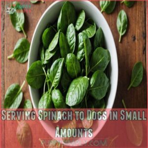 Serving Spinach to Dogs in Small Amounts