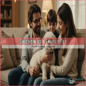 Shichon as a Family Pet