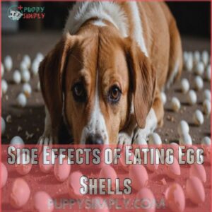 Side Effects of Eating Egg Shells