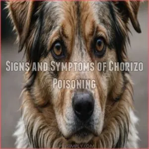 Signs and Symptoms of Chorizo Poisoning