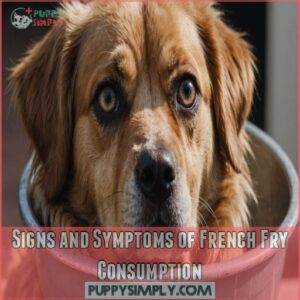 Signs and Symptoms of French Fry Consumption