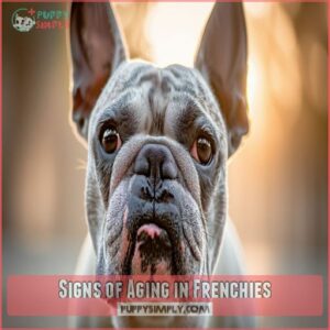 Signs of Aging in Frenchies