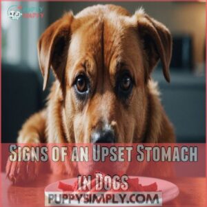 Signs of an Upset Stomach in Dogs