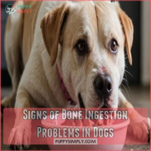 Signs of Bone Ingestion Problems in Dogs