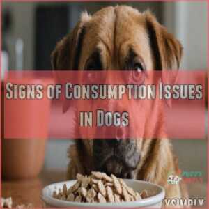 Signs of Consumption Issues in Dogs