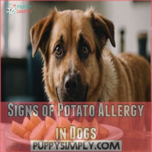 Signs of Potato Allergy in Dogs