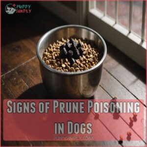 Signs of Prune Poisoning in Dogs