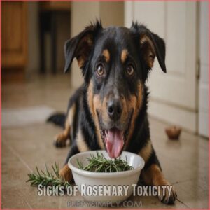 Signs of Rosemary Toxicity