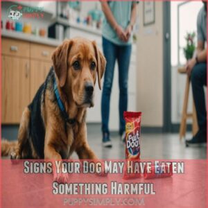 Signs Your Dog May Have Eaten Something Harmful