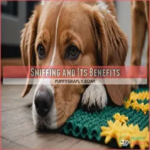 Sniffing and Its Benefits