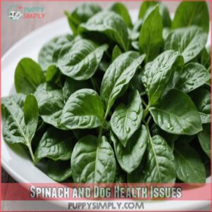 Spinach and Dog Health Issues