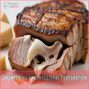 Splintering and Intestinal Perforation