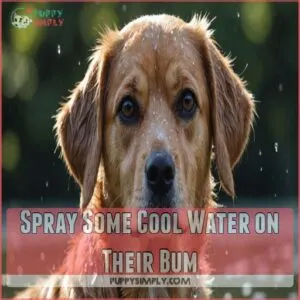 Spray Some Cool Water on Their Bum