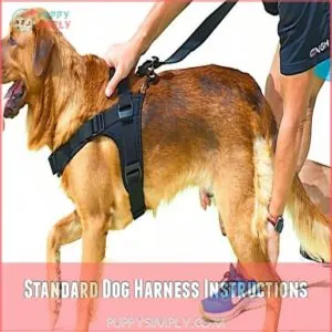 Standard Dog Harness Instructions