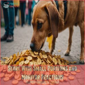 Start With Small Portions and Monitor Reactions