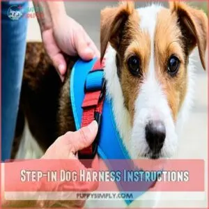 Step-in Dog Harness Instructions