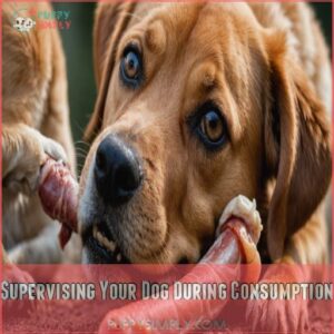 Supervising Your Dog During Consumption