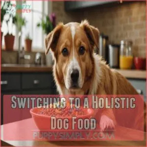 Switching to a Holistic Dog Food