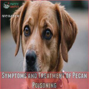 Symptoms and Treatment of Pecan Poisoning