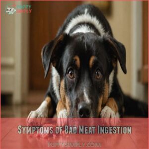 Symptoms of Bad Meat Ingestion