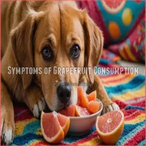 Symptoms of Grapefruit Consumption