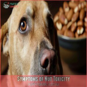 Symptoms of Nut Toxicity