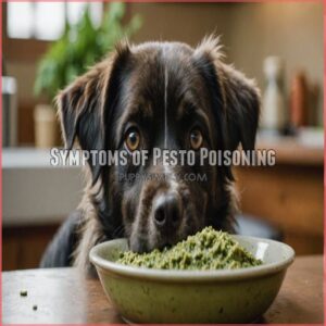 Symptoms of Pesto Poisoning