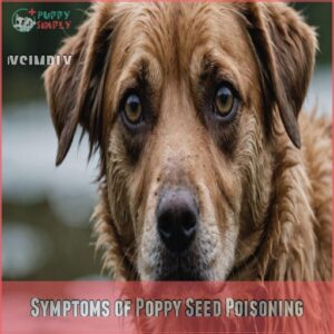 Symptoms of Poppy Seed Poisoning