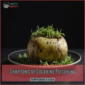 Symptoms of Solanine Poisoning