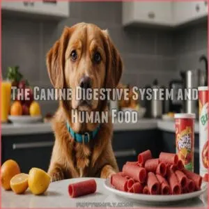 The Canine Digestive System and Human Food