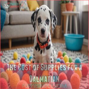 The Cost of Supplies for a Dalmatian