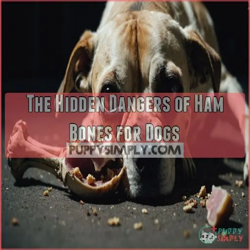 The Hidden Dangers of Ham Bones for Dogs