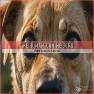 The Human-Canine Bond