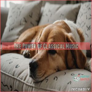 The Power of Classical Music