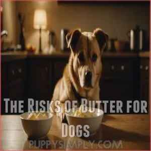 The Risks of Butter for Dogs