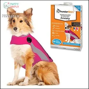 Thundershirt Apparel clothing Thundershirt Dog