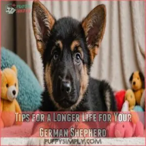 Tips for a Longer Life for Your German Shepherd