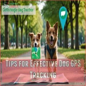 Tips for Effective Dog GPS Tracking